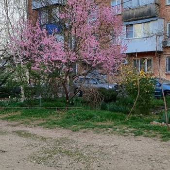 Продается 3-х комнатная квартира, 56,6 м²