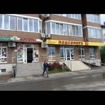 Сдается 2-х комнатная квартира, 37 м²