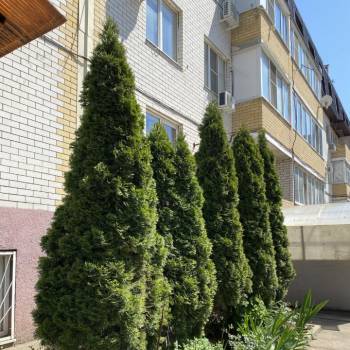 Продается 1-комнатная квартира, 36 м²