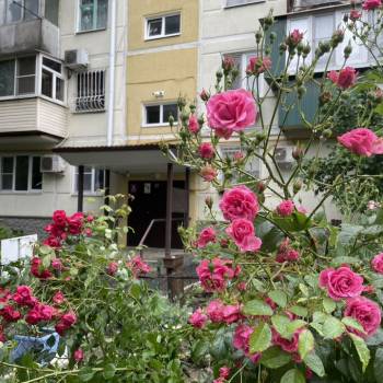 Сдается Комната, 10 м²