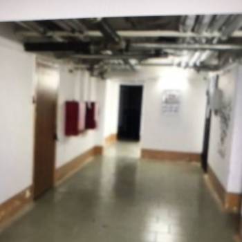 Сдается Нежилое помещение, 20 м²