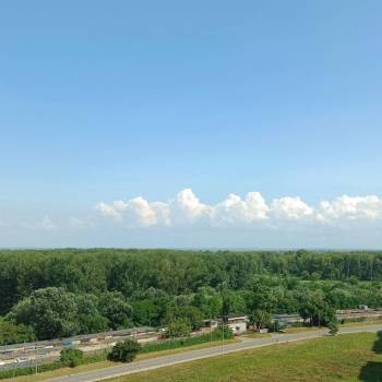 Сдается 2-х комнатная квартира, 54 м²