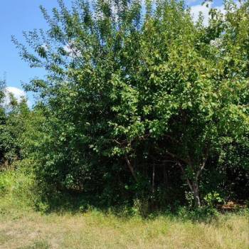 Продается Участок, 84500 м²