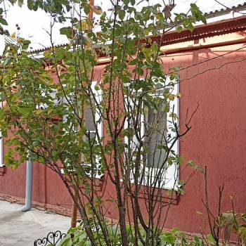Продается Дом, 75 м²