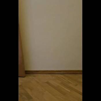 Сдается Многокомнатная квартира, 95 м²