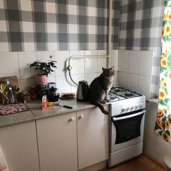 Продается 1-комнатная квартира, 38 м²