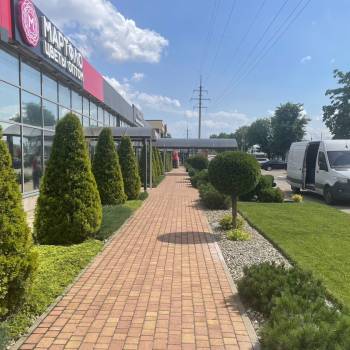 Сдается Нежилое помещение, 79 м²