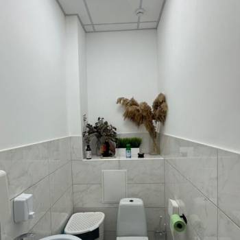 Сдается Нежилое помещение, 36,3 м²