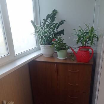Сдается 1-комнатная квартира, 37,4 м²