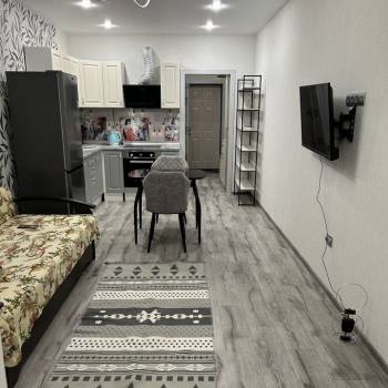 Сдается 1-комнатная квартира, 26 м²