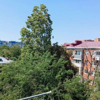 Продается 3-х комнатная квартира, 54 м²