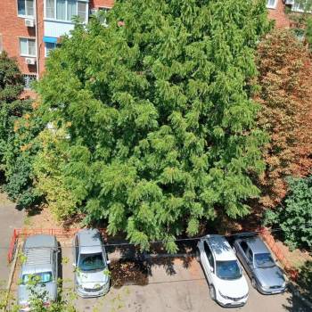 Продается 3-х комнатная квартира, 54 м²