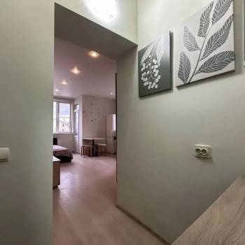 Продается 1-комнатная квартира, 19,5 м²