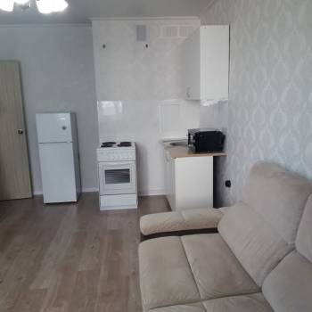 Сдается 1-комнатная квартира, 23,9 м²