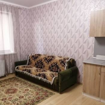 Продается 1-комнатная квартира, 23,8 м²