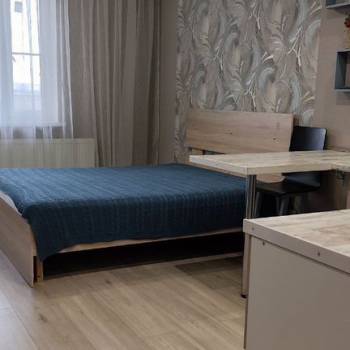 Сдается 1-комнатная квартира, 23,8 м²