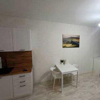 Сдается 1-комнатная квартира, 26 м²