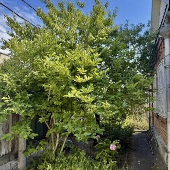 Продается Участок, 320 м²