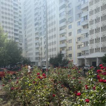 Сдается Многокомнатная квартира, 77,3 м²