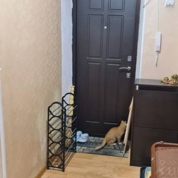Сдается Многокомнатная квартира, 57 м²