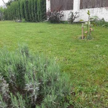Продается Участок, 1400 м²