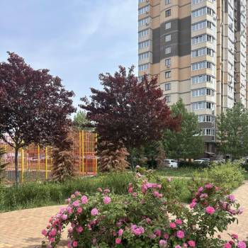 Сдается 1-комнатная квартира, 25 м²