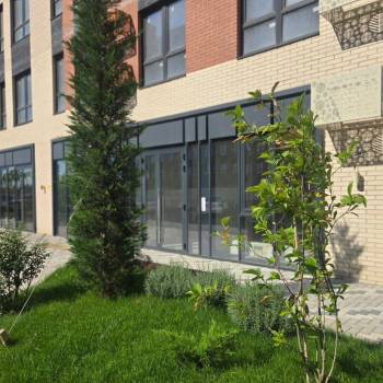 Сдается Нежилое помещение, 57 м²