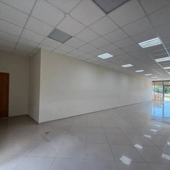 Сдается Нежилое помещение, 86 м²