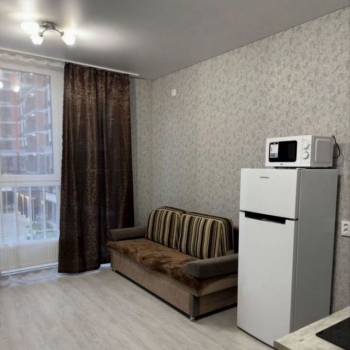 Сдается 1-комнатная квартира, 22,6 м²