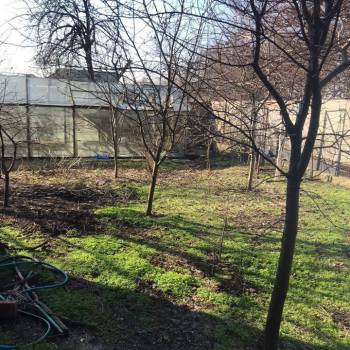 Сдается Дом, 224 м²