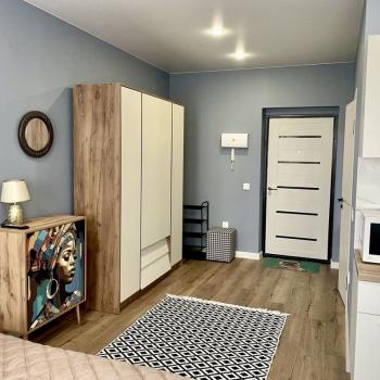Сдается 1-комнатная квартира, 25,6 м²