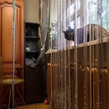 Продается 2-х комнатная квартира, 49,8 м²