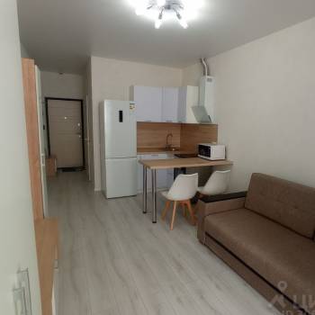 Сдается 1-комнатная квартира, 24,7 м²