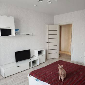 Сдается 1-комнатная квартира, 47 м²