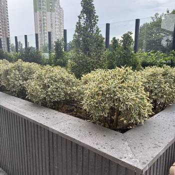 Продается 2-х комнатная квартира, 72 м²