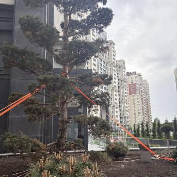 Продается 2-х комнатная квартира, 72 м²