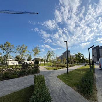 Сдается 1-комнатная квартира, 21,1 м²