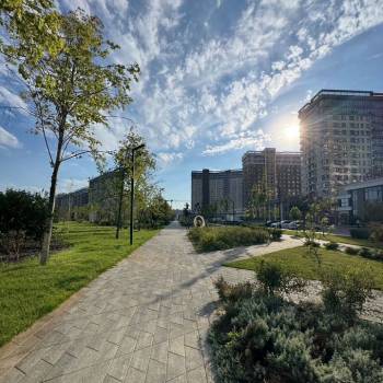 Сдается 1-комнатная квартира, 21,1 м²
