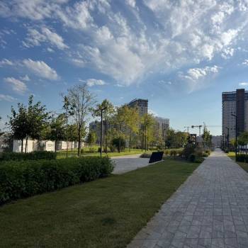 Сдается 1-комнатная квартира, 21,1 м²