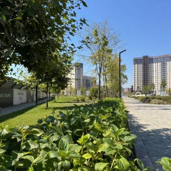 Сдается 1-комнатная квартира, 21,1 м²