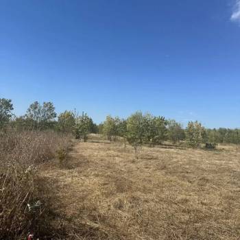 Продается Участок, 620 м²