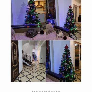 Сдается Комната, 0 м²