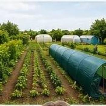 Продается Дом, 55 м²