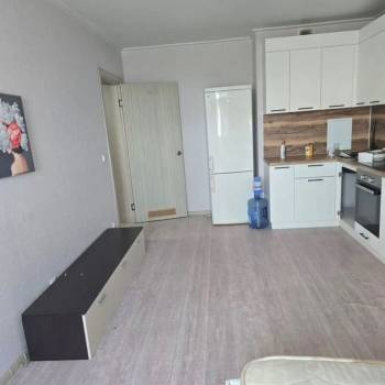 Сдается 1-комнатная квартира, 25,5 м²