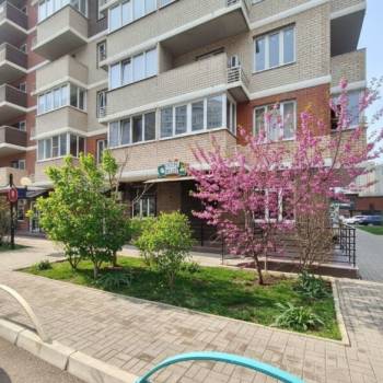 Сдается Нежилое помещение, 42,7 м²