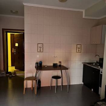 Сдается 1-комнатная квартира, 25,3 м²