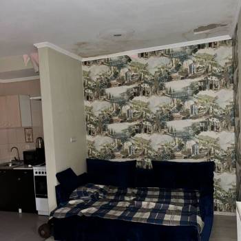 Сдается 1-комнатная квартира, 25,3 м²
