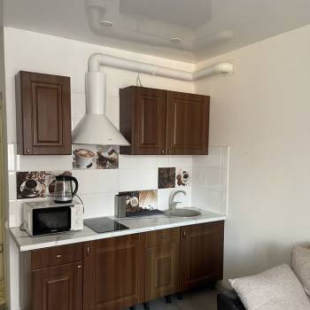 Сдается 1-комнатная квартира, 24,3 м²