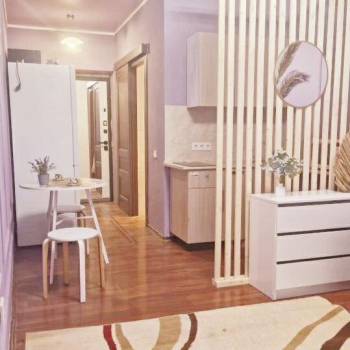 Сдается 1-комнатная квартира, 27 м²