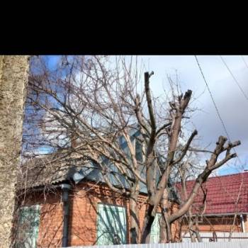 Продается Дом, 31 м²